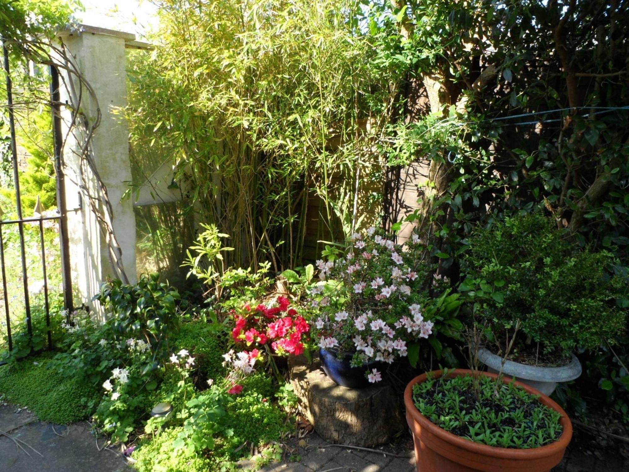 Galway Guest House Weymouth Exterior foto